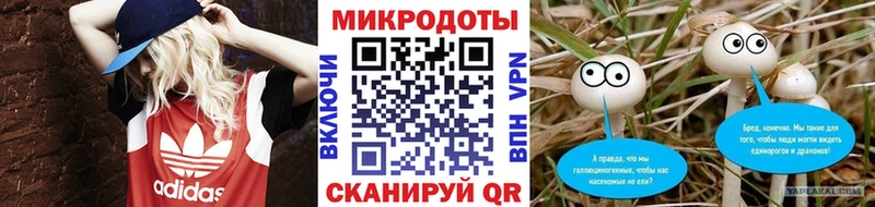 Псилоцибиновые грибы Psilocybe  Хотьково 
